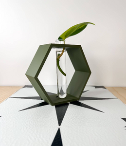 Hexagon Propagation Station