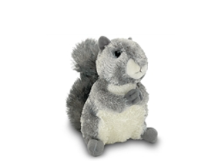 Topanga Gray Squirrel