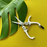 Pruning Shears Snips Scissors